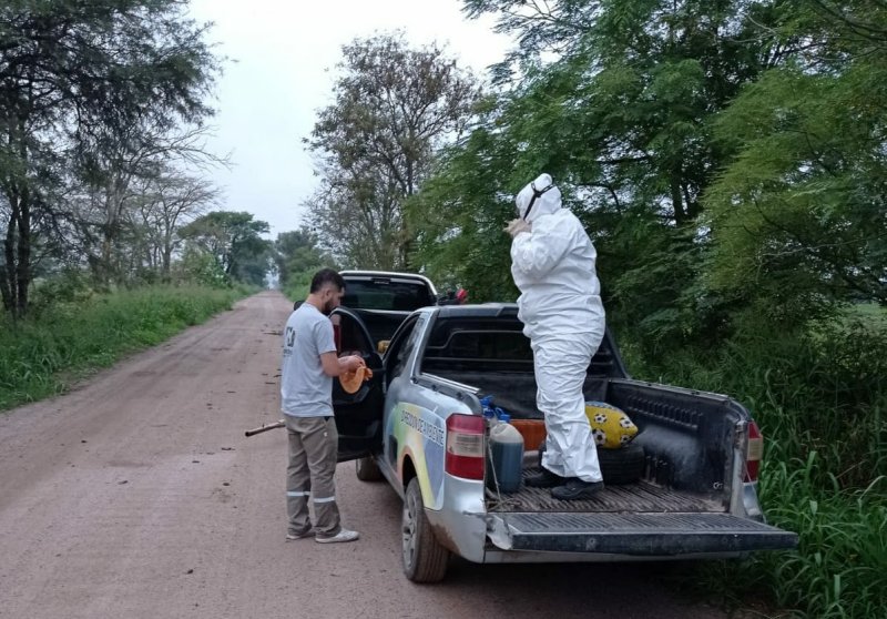 Casos positivos de dengue en la zona